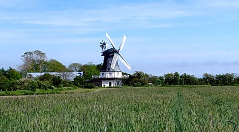 Föhr - Entspannt, bodenständig und einfach schön